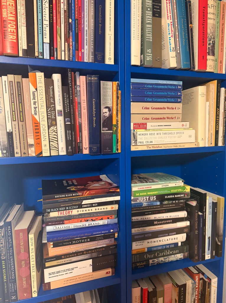 A blue bookcase filled with books
